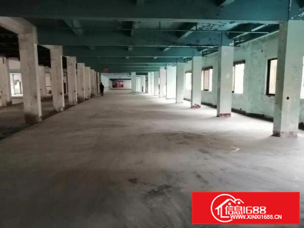 黄江镇中心，原房东性价比超高的500平方招租，免租期超长