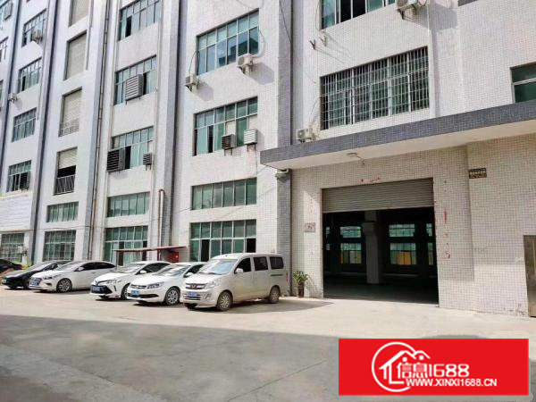 清溪三中新出一楼厂房1100平出租带牛角水电