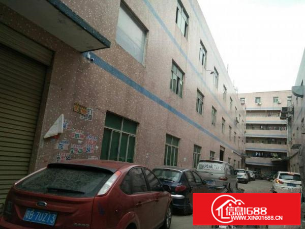 （招租）惠阳秋长白石标准厂房一楼300二楼600平