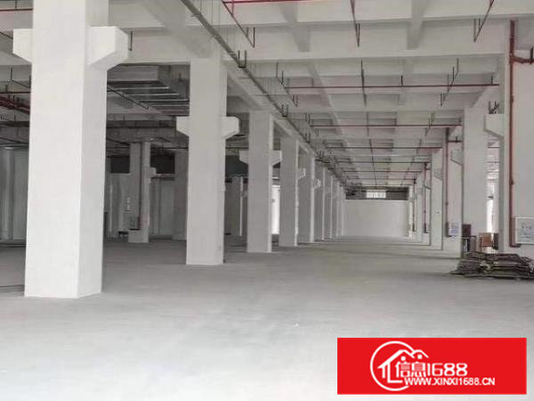 常平靠高速口花园式工业区，红本厂房，丙二类消防