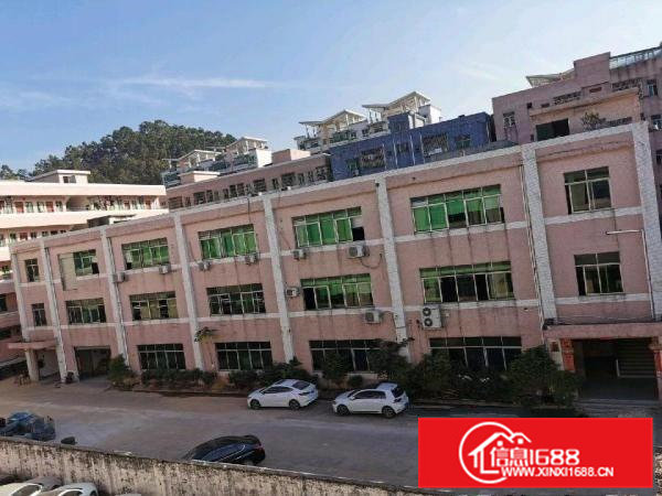 办公车间宿舍配套现成/直接入驻