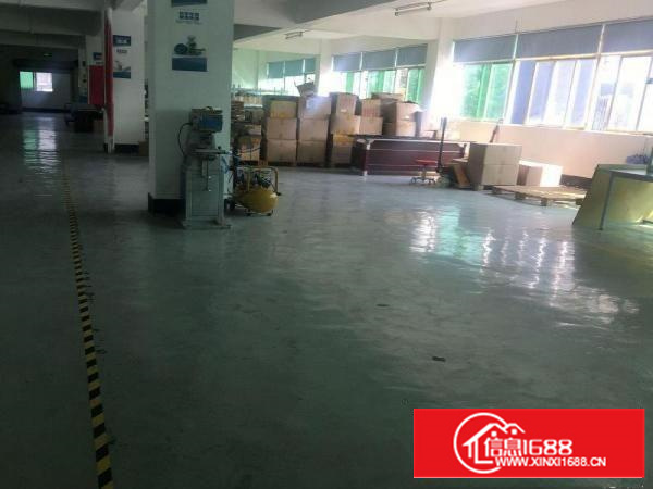 坂田厂房出租简单装修租金实惠直租无中介