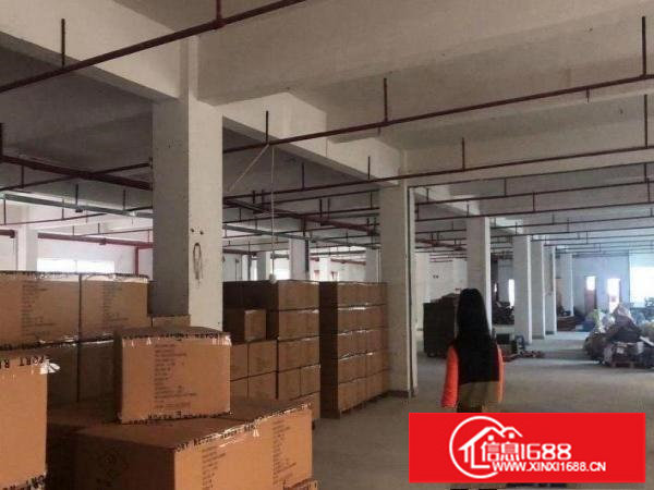 横岗大康村新出三层独门独院厂房3500平方，有红本，两部电梯