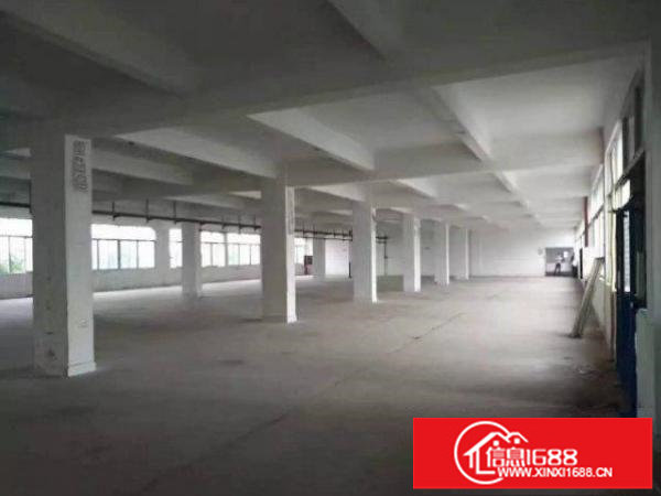 出租布吉丹竹头标准一楼厂房1650平方空地大