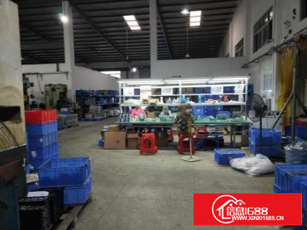 清溪原房东厂房1800平方高8米