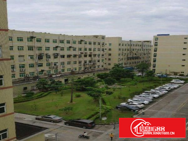 龙岗分租厂房6-800平米