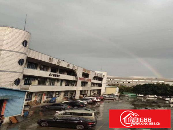 出租清溪镇清溪三中大面积钢构厂房租价低直8元每平