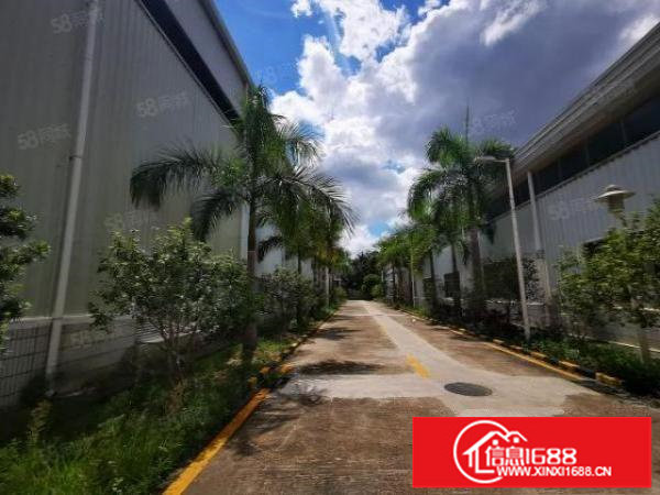 原房东钢构独院3000平物流园仓库出租近布吉海吉星可进大货车