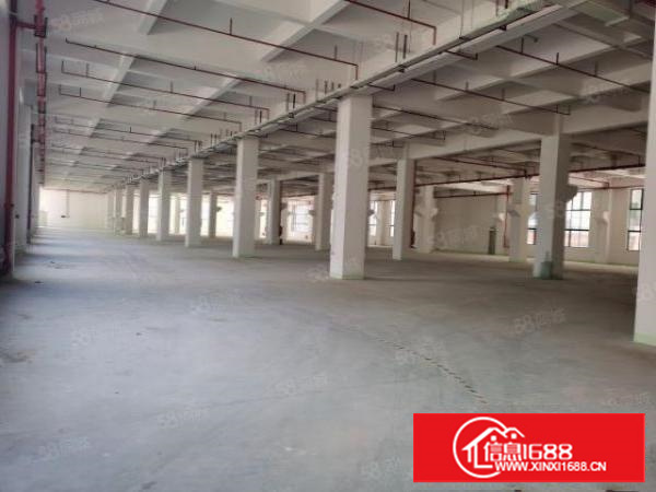 石碣镇全新科技园厂房招租1200方起分形象高大上空地超大