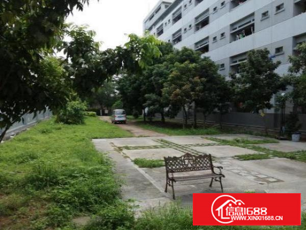 石碣原房东宿舍改厂房（改造中）出租：