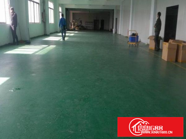 凤岗新出原房东厂房1000平方只租14元