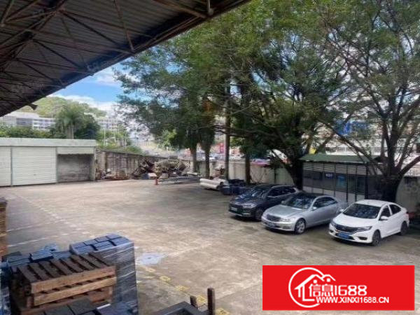 横岗业主直招带地坪漆精装修厂房1400平18元