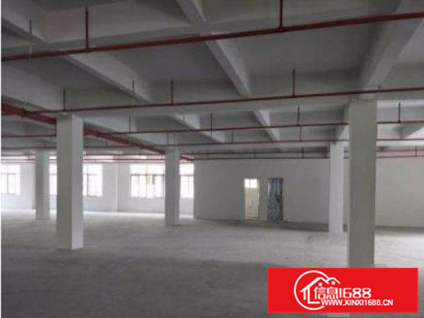 本人转租大朗黄草朗一楼770平厂房带办公即租即用