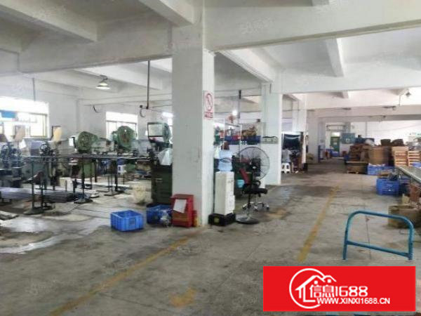 坪山坑梓新出一楼标准厂房1000平层高4.6米有消防适合加工