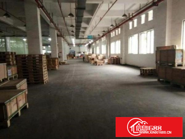 松岗松涛新出一楼厂房3000平方厂房按需分租