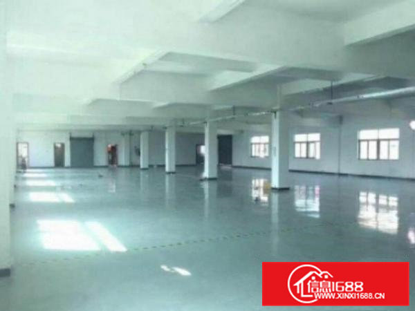 高埗标准一楼或二楼1500平方出租带现成装修办公室装修