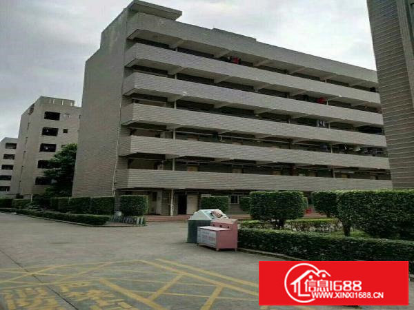 观澜梅观高速出口旁花园式独栋8000平方厂房招租