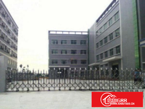 高埗标准一楼厂房2100平方出租招租适合各行业??