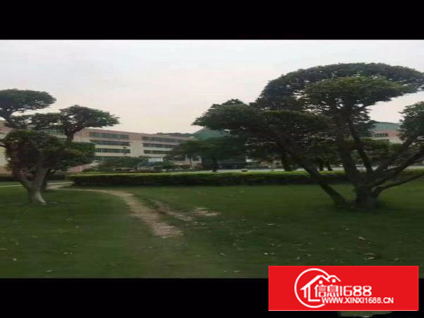 2800平方厂房分租