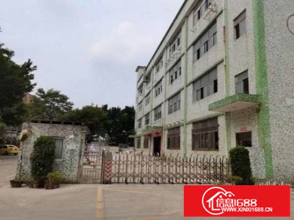 大浪新出整栋4600（原房东厂房自己招租）可分层出租