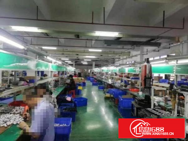 精装修水电齐全塘厦大坪适合电子楼上厂房出租1400平米