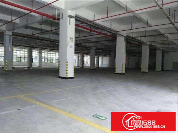 坪山大工业区原房东厂房楼上2600平有红本