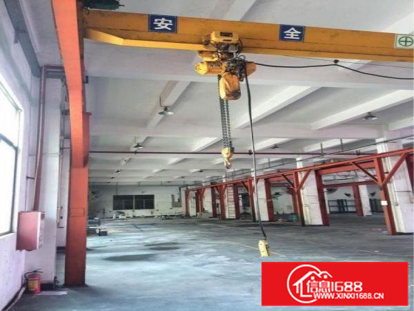 常平独院厂房：7800平米，一楼6.5米，水电齐全