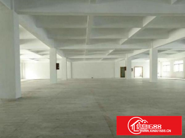 万江新出500平米标准1招租