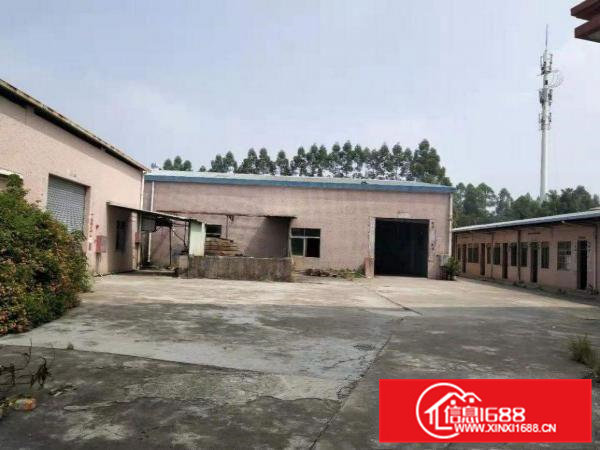 企石镇原房东单层厂房招租（可分租）