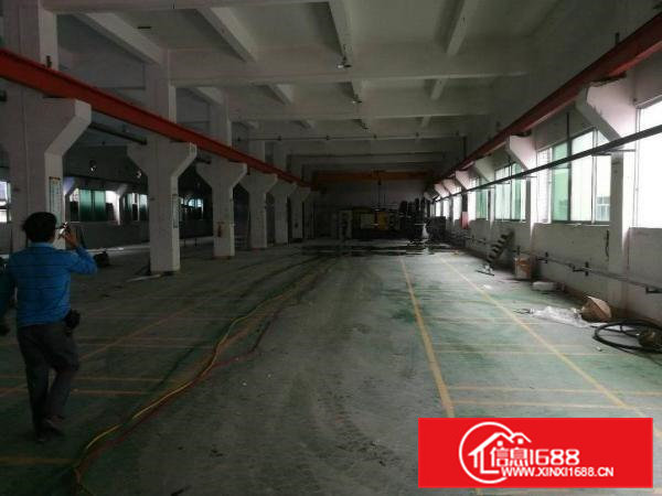 横沥镇原房东分租一楼1500平方