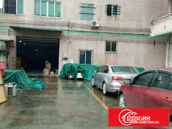 万江石美新出独院标准厂房一楼1200平方出租、可分租