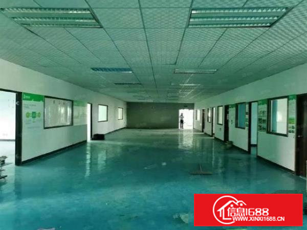 横沥隔坑原房东楼上1600平精装修厂房出租