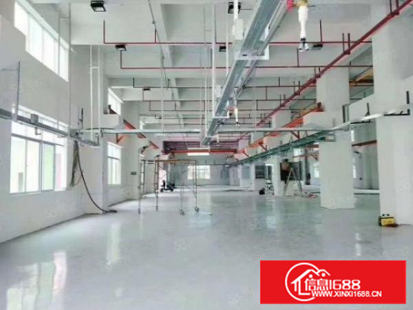 凤岗金凤凰工业园带装修独院厂房出租5000平可分租靠山边