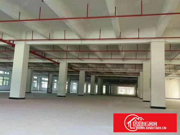 标准独院厂房国有土地可分租消防喷淋超大空地独立使用