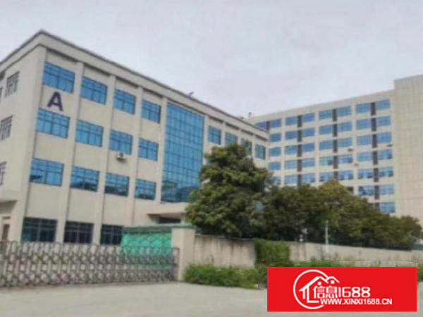 高埗独院标准厂房6000平方宿舍2200平方出租