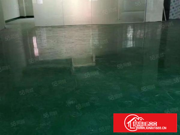 西湖原房东一楼1000方高度6.5米，超低价16，可分租