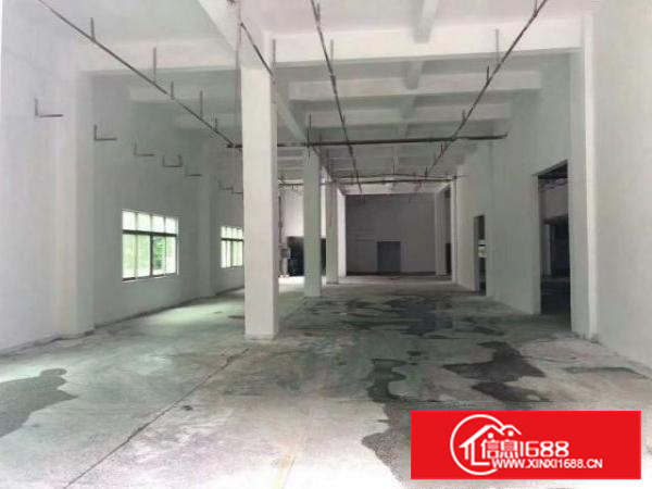 万江标准一楼900平米出租;适合多种行业现成办公室修