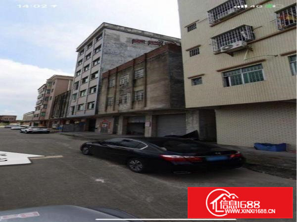 东莞石排福隆市场旁，挨着大学城