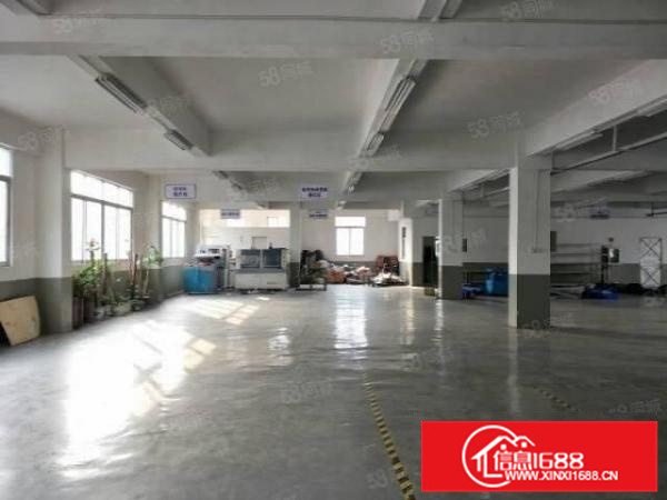 有证，不拆迁，容桂独栋一楼800方标准厂房，形象好