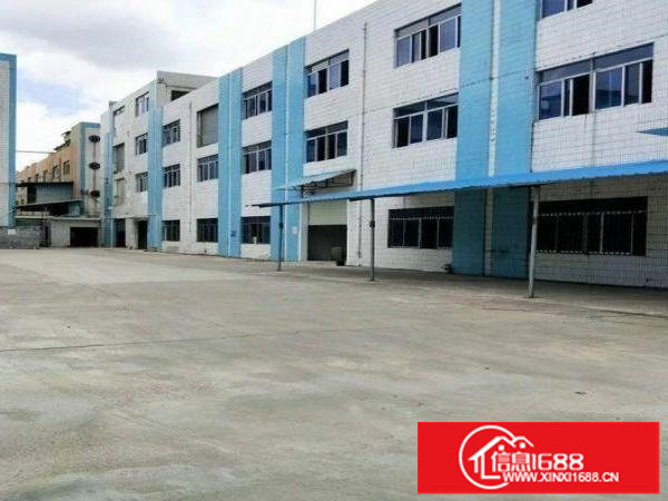 龙岗刚出独门独院5000平方厂房出租采光好