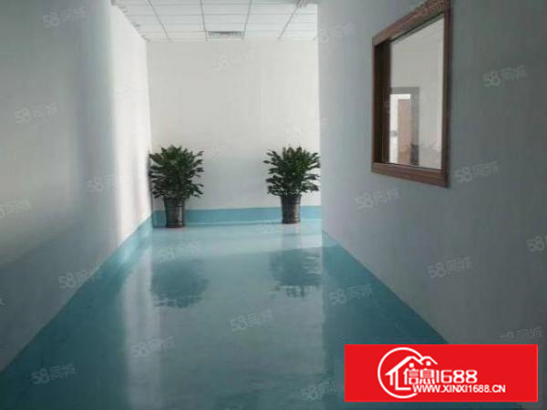 茶山东部快速口8米单一层独院1500平米带豪华装修厂房出租