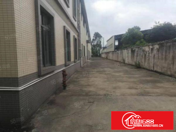 三水大塘园区天泰路边独院单一层3600方办宿600