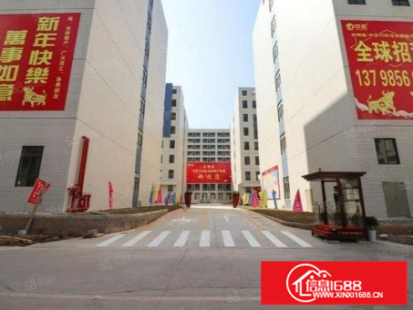 光明港中志TOD产业园1000平米全新标准工业厂房业主直租
