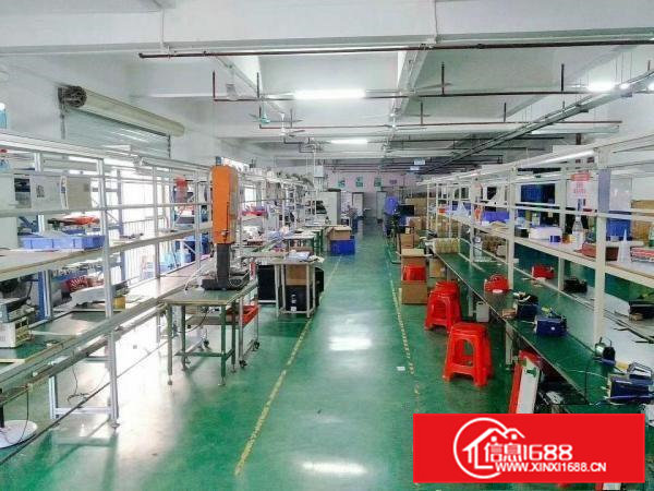 凤岗官井头精装修厂房出租1300平方近龙岗大运城邦