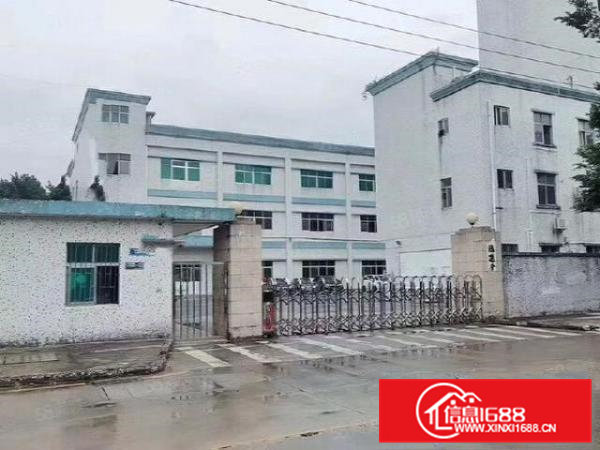 常平便宜独院厂房4200平方招租，可做五金注塑，带行车牛角