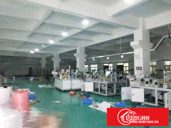 松岗重工业厂房一楼1500平带牛角，主线到位，高6米价格优惠