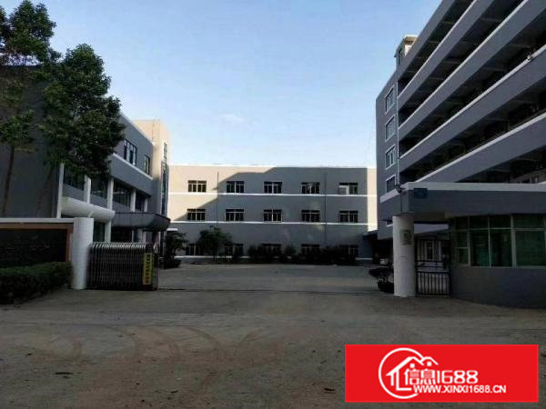 茶山镇超靓全新独门独院标准厂房4500出租