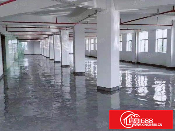 福安松岗|526平带装厂房|格局方正|原房东直租|价格美丽