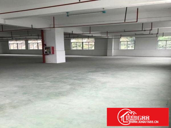 丹竹头地铁旁二楼300平厂房空地大、可进大货车