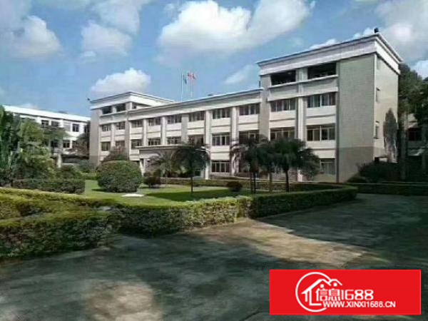 高埗独院标准厂房一楼2000平方出租适合五金、塑胶等行业